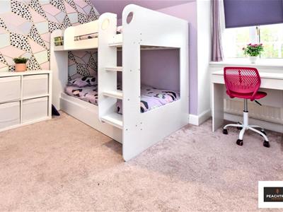 Picture 41